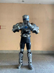 Armor Snow Mastiff Hero Helmet And Armor Costume