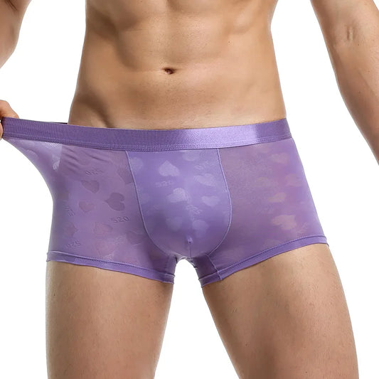 Transparent Thin Quick Dry Slim Fit Low Waist Underwear