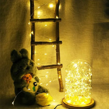 LED Copper Wire Fairy Lights