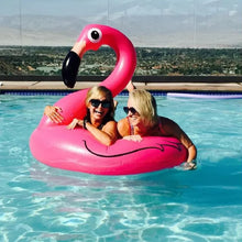 Rooxin Flamingo Inflatable Swimming Ring