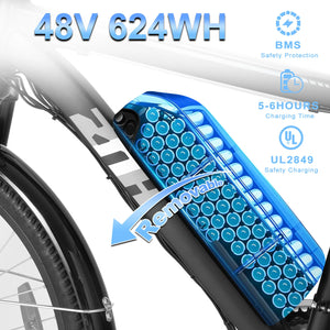 1000W Motor Peak 48V 50 Mile Range 20MPH E-bike