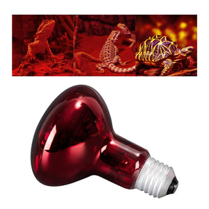 Pet Heat Light Bulb