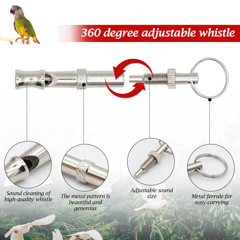 Stainless Steel Training Whistle