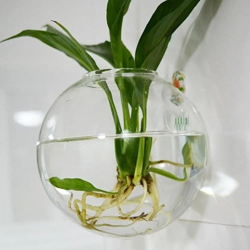 Wall-Hanging Acrylic Plexiglass Fish Bowl Aquarium