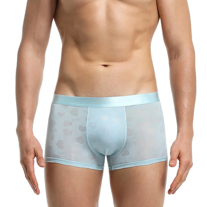 Transparent Thin Quick Dry Slim Fit Low Waist Underwear