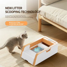 Automated Open Cat Litter Box