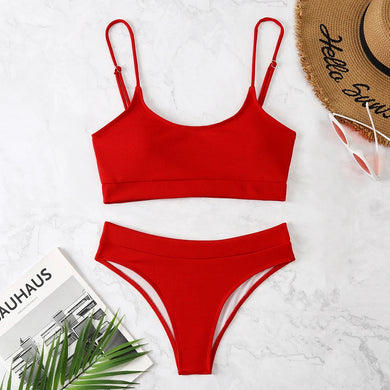 High Waist  Two-piece Bathing Suit