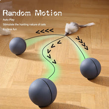 Kimpets Cat Moving Teaser Ball Fun Toy