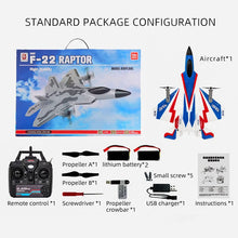 SG-F22 2.4G 3D Remote Control Stunt Plane