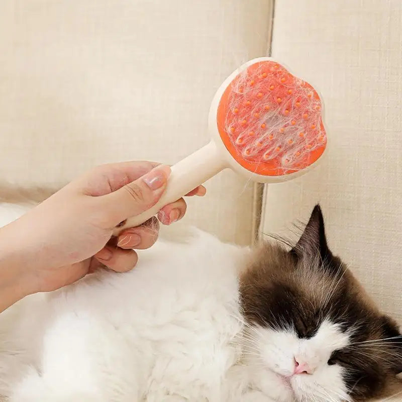 Steamy Electric Cat Brush With Steam Spray For Massage