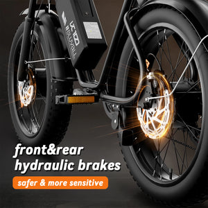 52V 2000W Dual-Motor 23AH Lithium Battery Electric Bike