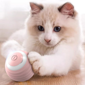 Interactive 360° Automatic Rotating Rolling Ball Cats Toy With USB Charging