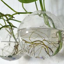 Wall-Hanging Acrylic Plexiglass Fish Bowl Aquarium