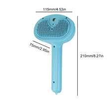 Cat Steam Hair Remover Brush Multi-Function