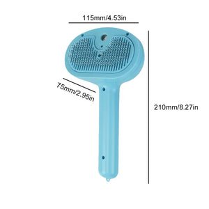 Cat Steam Hair Remover Brush Multi-Function