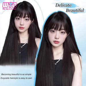 Synthetic Black Long Straight Wig