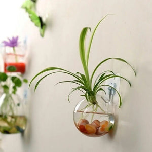 Wall-Hanging Acrylic Plexiglass Fish Bowl Aquarium