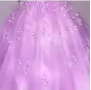 Long Train  Quinceanera Dress