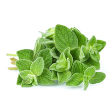 AKARZ Oregano Essential Oil