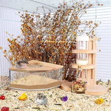 Hamster Bathroom House Sandbox