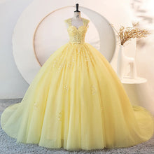 Long Train  Quinceanera Dress