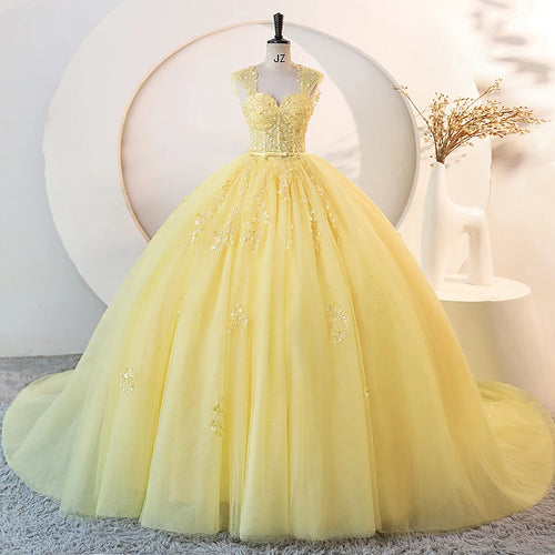 Long Train  Quinceanera Dress