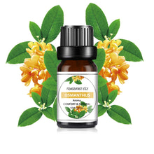 10Ml Natural Flavor Essential Oil