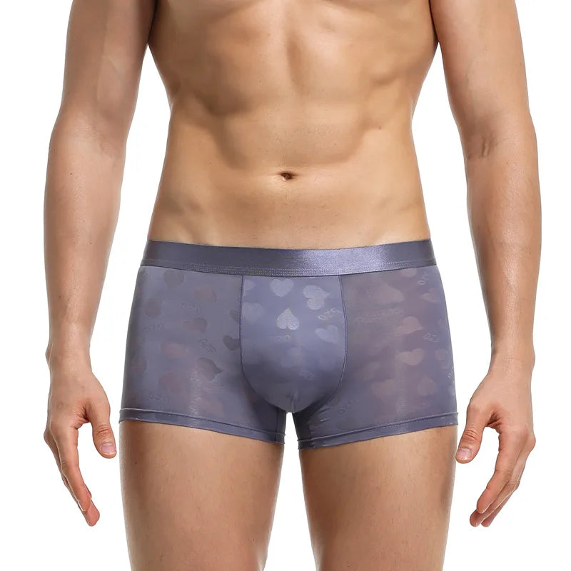 Transparent Thin Quick Dry Slim Fit Low Waist Underwear