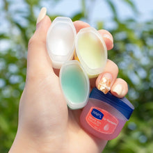 Multipack Natural Plant Base Moisturizing Lip Balm Set