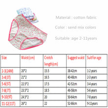 12Pcs Cotton Panties