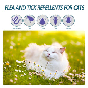 YEGBONG 50ml Flea Tick Control Liquid for Dogs/Cats