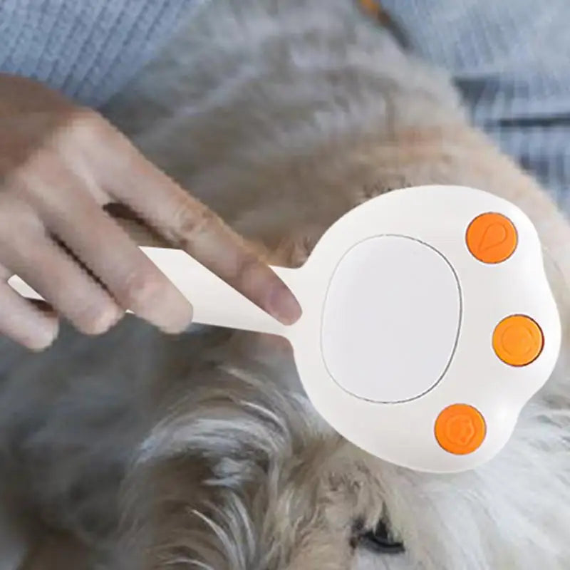 Steamy Electric Cat Brush With Steam Spray For Massage