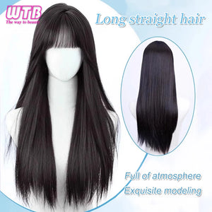 Synthetic Black Long Straight Wig