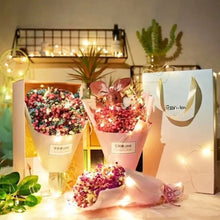 LED Copper Wire Fairy Lights