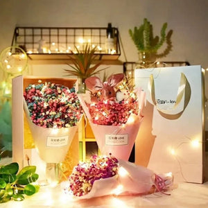 LED Copper Wire Fairy Lights