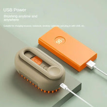 Steamy Electric Dog Spray Brush