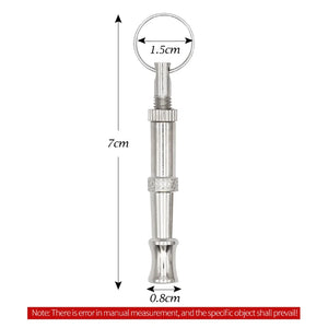Stainless Steel Training Whistle