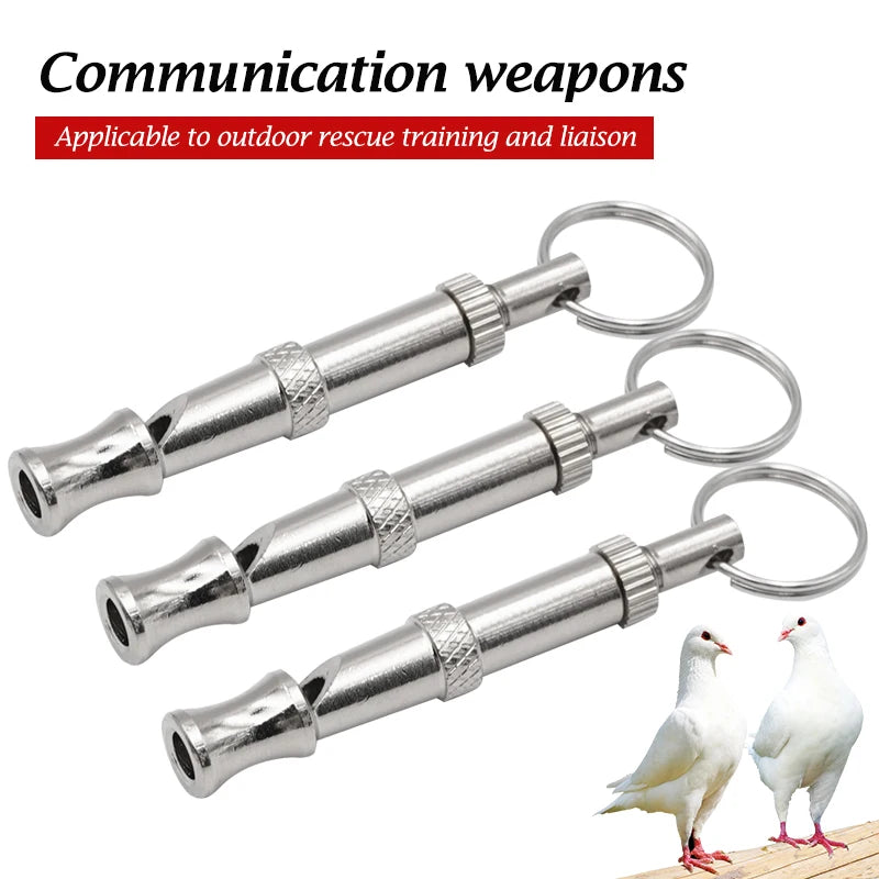 Stainless Steel Training Whistle