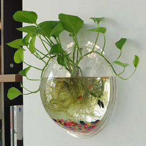 Transparent Mini Aquarium