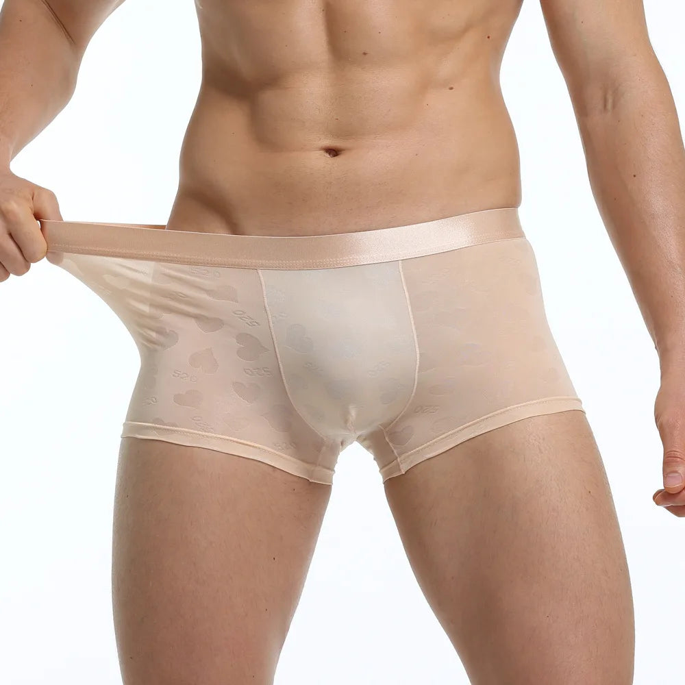 Transparent Thin Quick Dry Slim Fit Low Waist Underwear