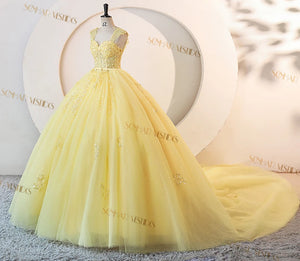 Long Train  Quinceanera Dress