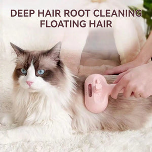 Cat Steam Brush Spray Hair Removal Comb for Shedding and Grooming