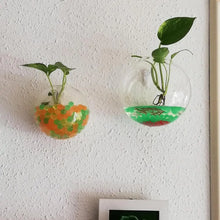 Wall-Hanging Acrylic Plexiglass Fish Bowl Aquarium