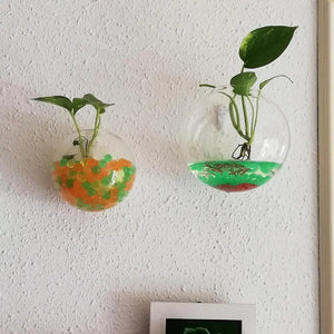 Wall-Hanging Acrylic Plexiglass Fish Bowl Aquarium