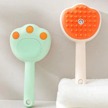 Steamy Electric Cat Brush With Steam Spray For Massage