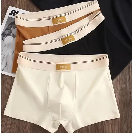 3Pcs Comfortable Breathable Cotton Underwear