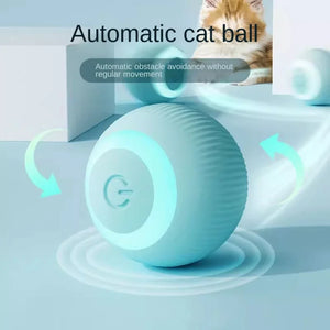 Automatic Moving Cat Interactive Toy