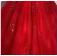 Long Train  Quinceanera Dress