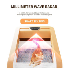 Automated Open Cat Litter Box