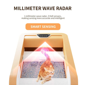 Automated Open Cat Litter Box